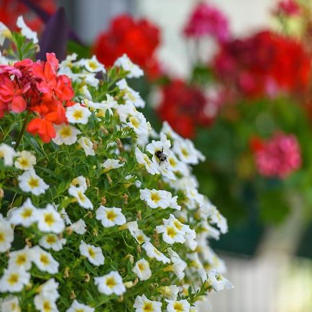 Apartments Beba - Peaceful Location Трогир Экстерьер фото